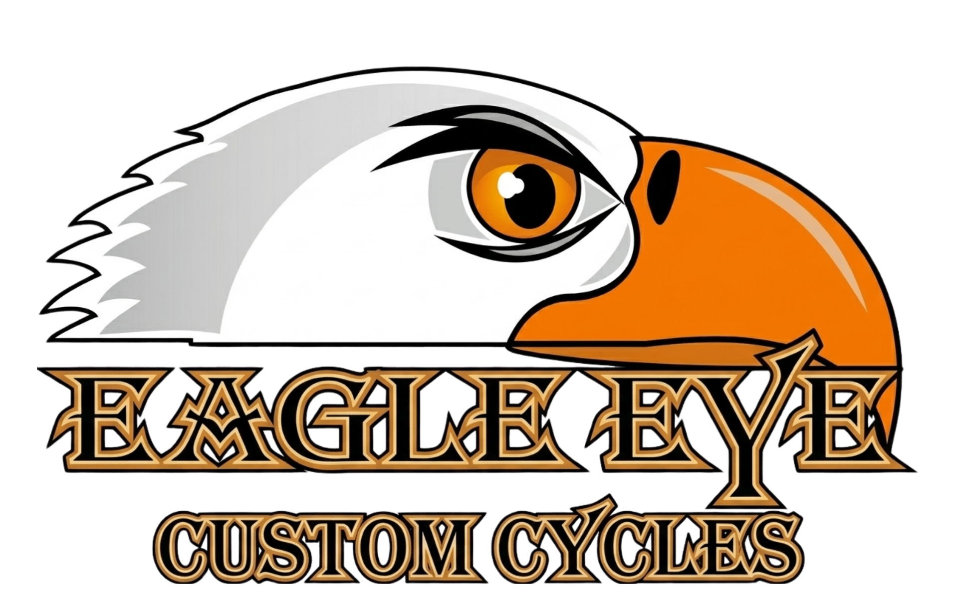 Eagle Eye Custom Cycles